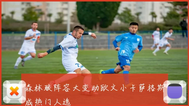 森林狼阵容大变动欧文小卡萨格斯成热门人选